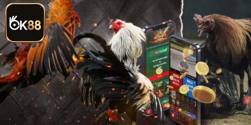 Nắm rõ tỷ lệ thưởng để đặt cược đúng đắn